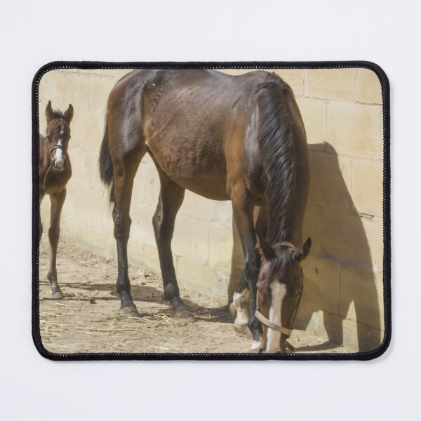 Item preview, Mare and Foal Standing in Sunlit Stable Eating Hay Beside Stone Barn Wall designed and sold by Nmallia.