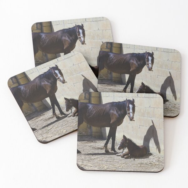 Item preview, Mare and Foal Standing in Sunlit Stable Eating Hay Beside Stone Barn Wall designed and sold by Nmallia.
