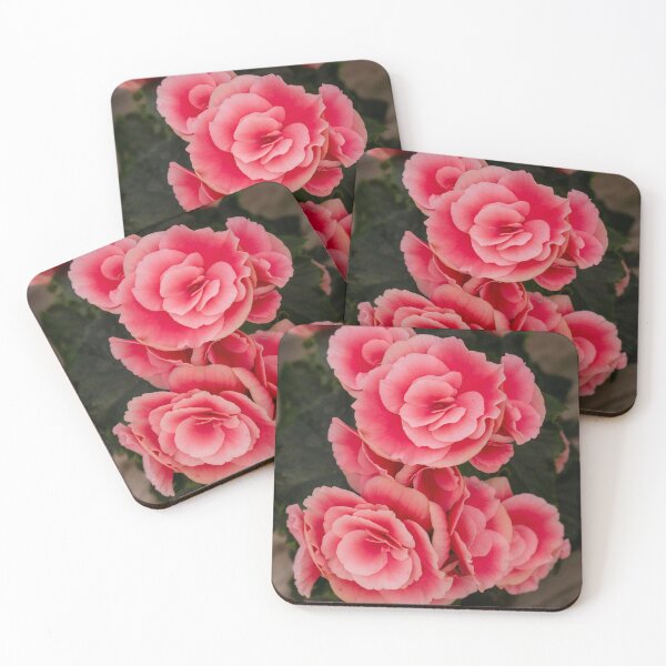 Item preview, Pink Begonia Flowers Close-Up Floral Botanical Photography Garden Art designed and sold by MDCCo.