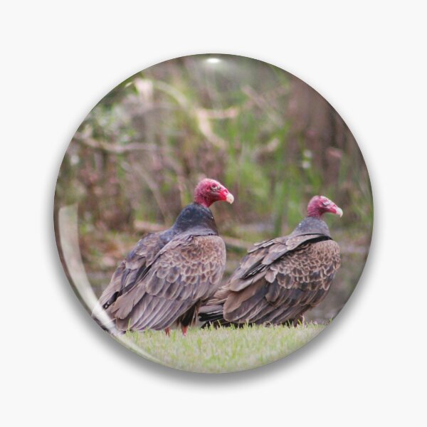 Item preview, Two Vultures by the Water designed and sold by Cynthia48.