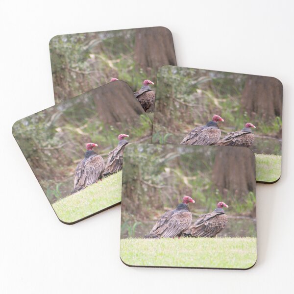 Item preview, Two Vultures by the Water designed and sold by Cynthia48.