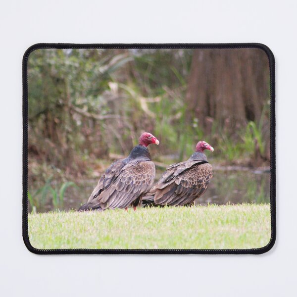 Item preview, Two Vultures by the Water designed and sold by Cynthia48.