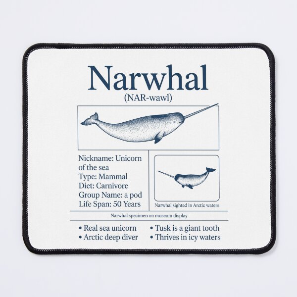 Item preview, Vintage Narwhal Biology Infographic Sea Unicorn Arctic Marine Life designed and sold by FreshVibe Prints.