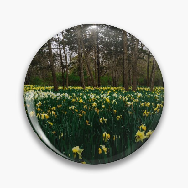 Item preview, Spring Daffodil Field Yellow Flowers Forest New England Landscape Photography designed and sold by MDCCo.