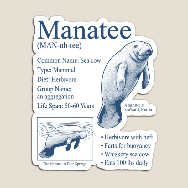 Item preview, Manatee Sea Cow Funny Ocean Biology Facts designed and sold by FreshVibe Prints.