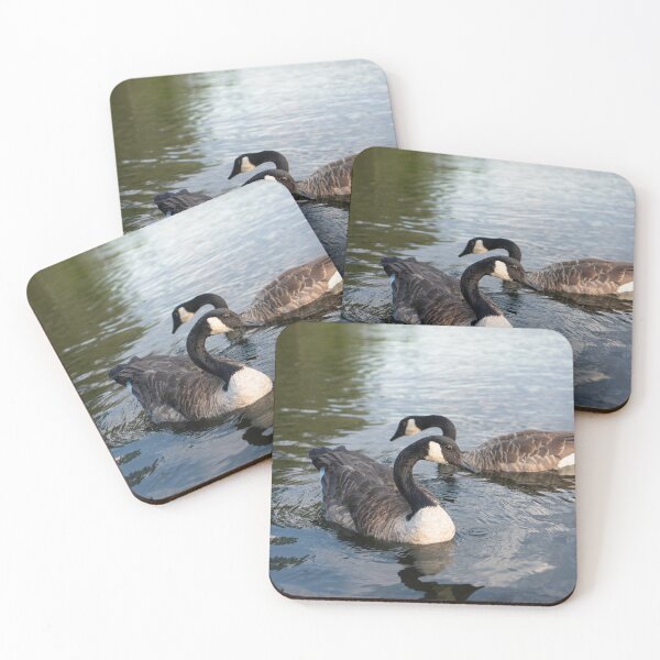 Item preview, Canada Geese Pair Swimming Lake New England Wildlife Photography designed and sold by MDCCo.