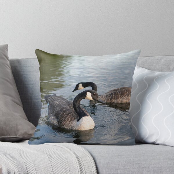 Item preview, Canada Geese Pair Swimming Lake New England Wildlife Photography designed and sold by MDCCo.