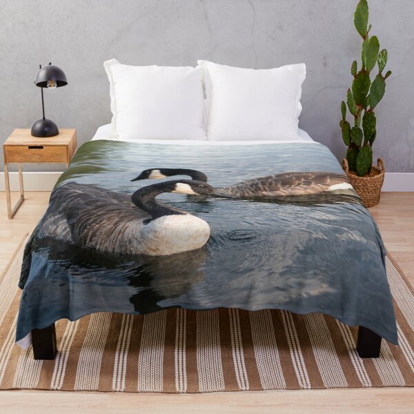 Item preview, Canada Geese Pair Swimming Lake New England Wildlife Photography designed and sold by MDCCo.