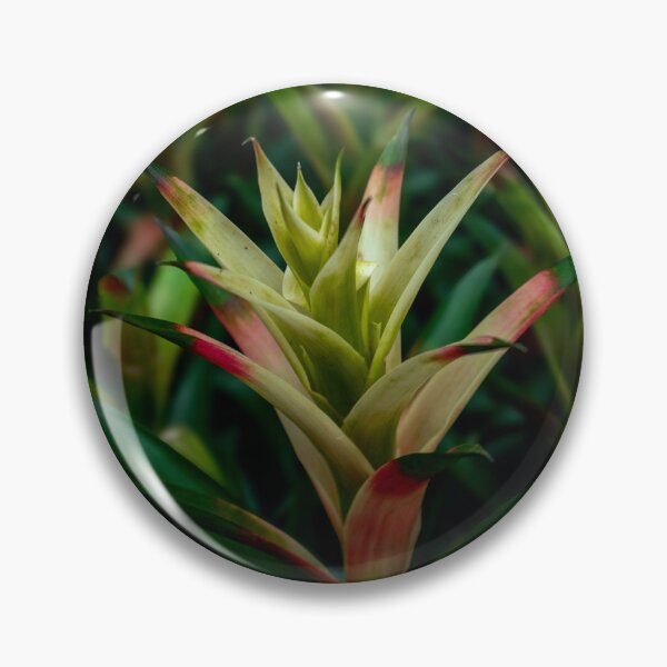 Item preview, Bromeliad Plant Close-Up Green Pink Tropical Botanical Photography designed and sold by MDCCo.