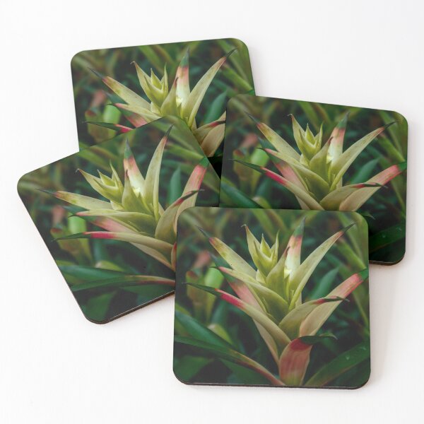 Item preview, Bromeliad Plant Close-Up Green Pink Tropical Botanical Photography designed and sold by MDCCo.
