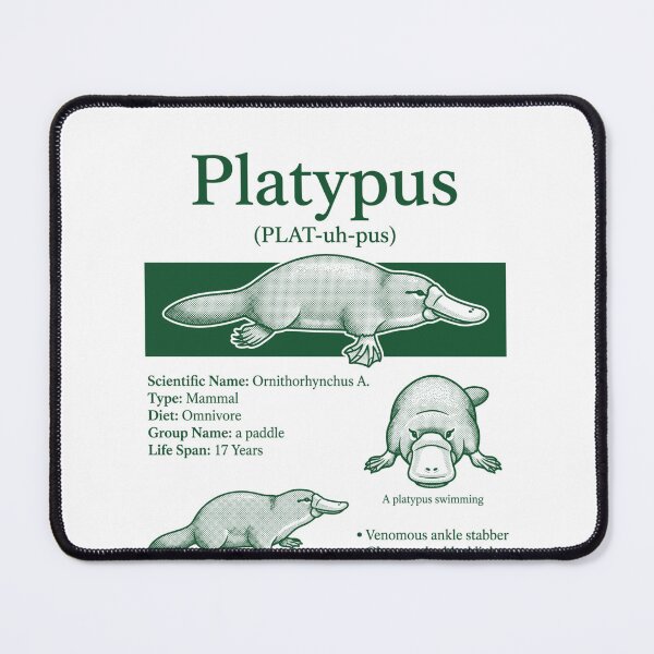 Item preview,  Vintage Platypus Animal Facts Retro Monotreme Biology Weird Mammal Wildlife designed and sold by FreshVibe Prints.