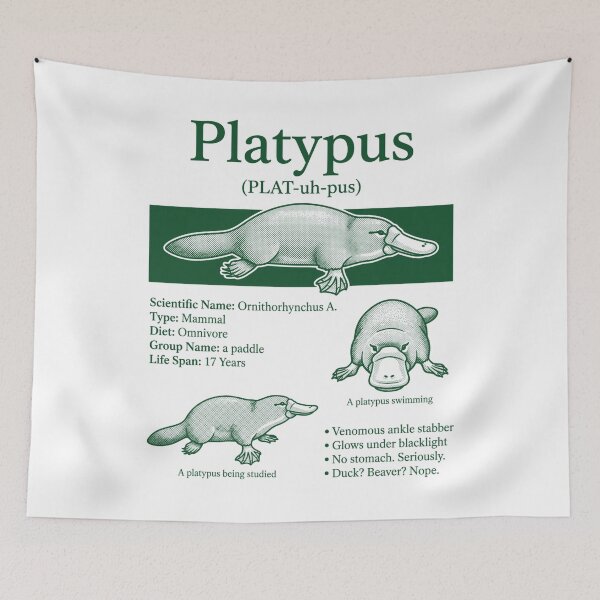 Item preview,  Vintage Platypus Animal Facts Retro Monotreme Biology Weird Mammal Wildlife designed and sold by FreshVibe Prints.