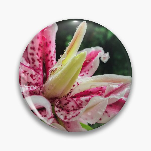 Item preview, Pink Stargazer Lily Close-Up Floral Macro Botanical Photography Garden Art designed and sold by MDCCo.