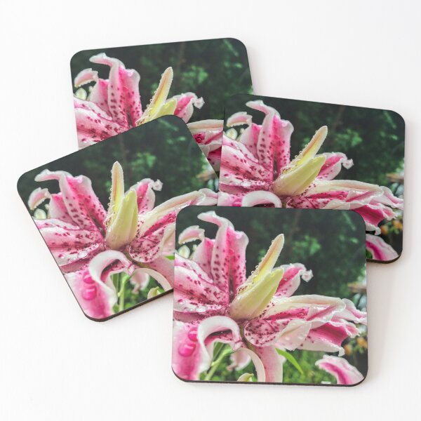 Item preview, Pink Stargazer Lily Close-Up Floral Macro Botanical Photography Garden Art designed and sold by MDCCo.