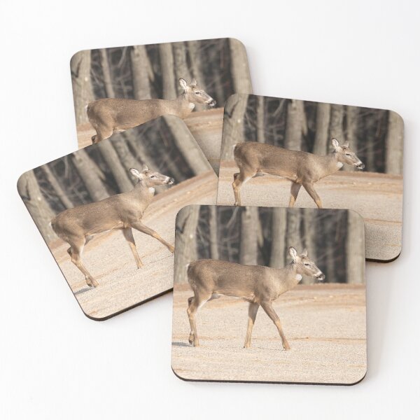 Item preview, White-tailed Buck Without Antlers 3-2-2026  designed and sold by Thomasyoung.