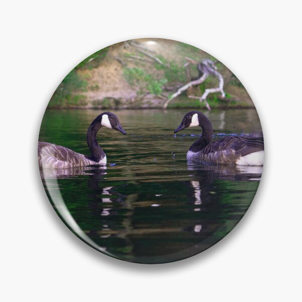 Artikelvorschau, Kanadagänsepaar, See, Neuengland, Sommer, Wildtierfotografie, Spiegelung entworfen und verkauft von MDCCo.