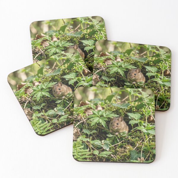 Item preview, A small animal hidden in the vegetation. designed and sold by Malisa345.