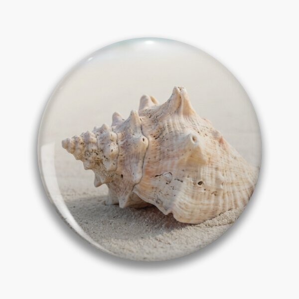 Aperçu de l'œuvre Coquillage sur sable blanc. créée et vendue par Malisa345.