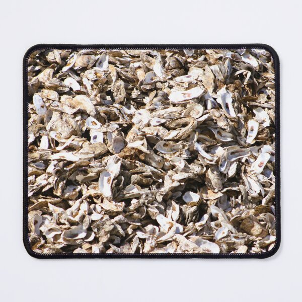 Item preview, Pile of Oyster Shells designed and sold by Cynthia48.