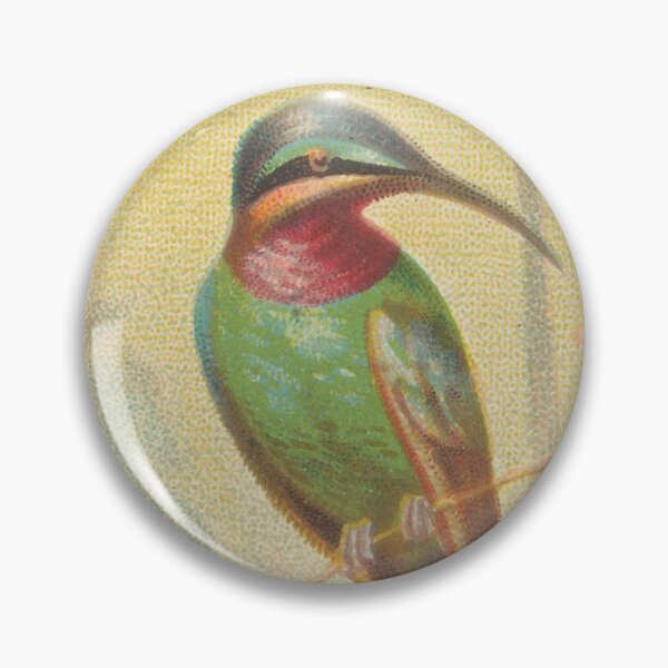 Item preview, Vintage Hummingbird Art Design - 1800s designed and sold by cheeseburgercat.