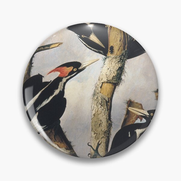 Item preview, Ivory Billed Woodpecker - Antique 1830s Painting designed and sold by cheeseburgercat.