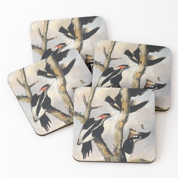Item preview, Ivory Billed Woodpecker - Antique 1830s Painting designed and sold by cheeseburgercat.