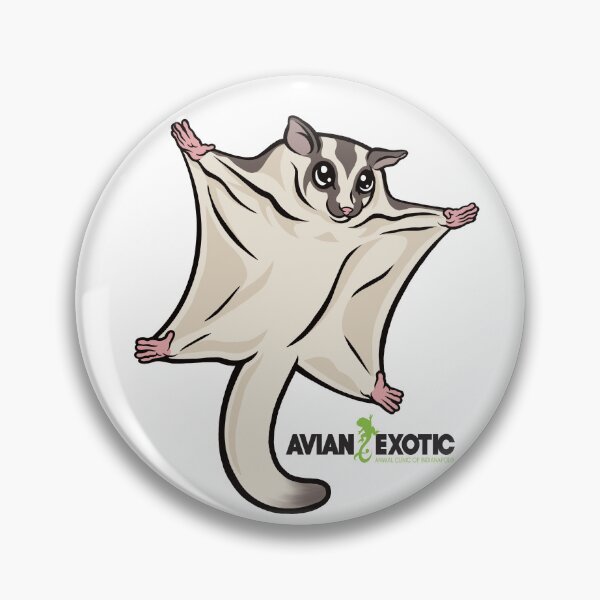Item preview, Sugar Glider designed and sold by exoticvetclinic.