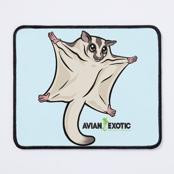 Item preview, Sugar Glider designed and sold by exoticvetclinic.
