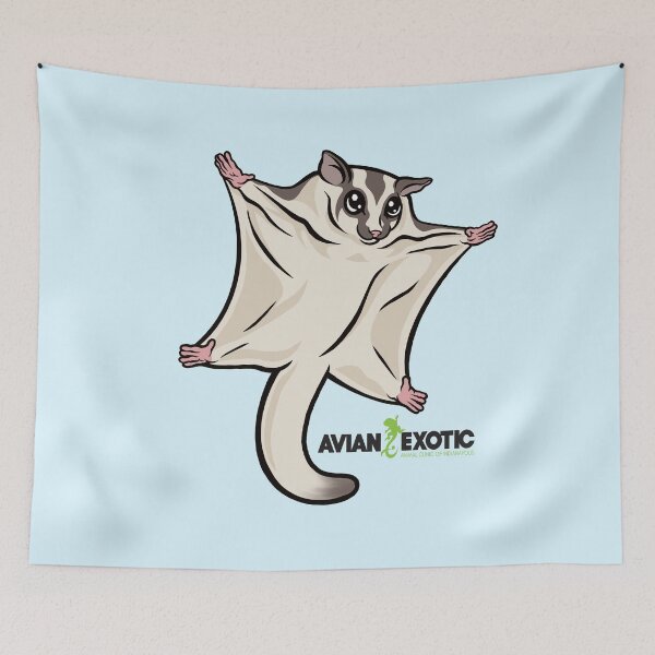 Item preview, Sugar Glider designed and sold by exoticvetclinic.