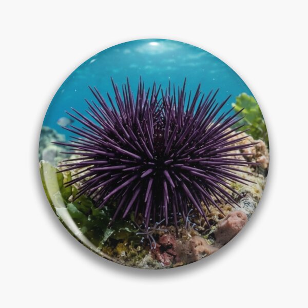 Item preview, Sea urchin underwater. designed and sold by Malisa345.