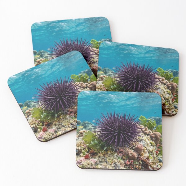 Item preview, Sea urchin underwater. designed and sold by Malisa345.