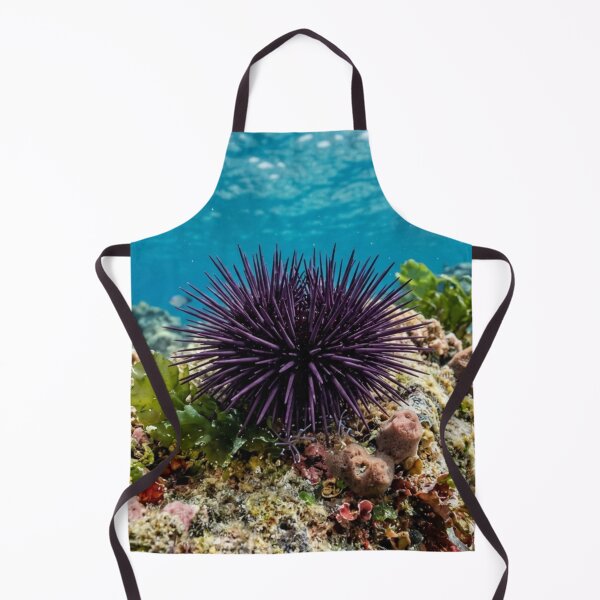 Item preview, Sea urchin underwater. designed and sold by Malisa345.