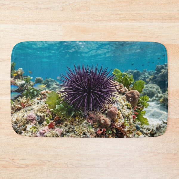 Item preview, Sea urchin underwater. designed and sold by Malisa345.