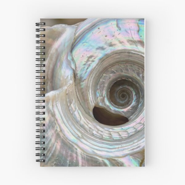 Item preview, Inside of a seashell. designed and sold by Malisa345.