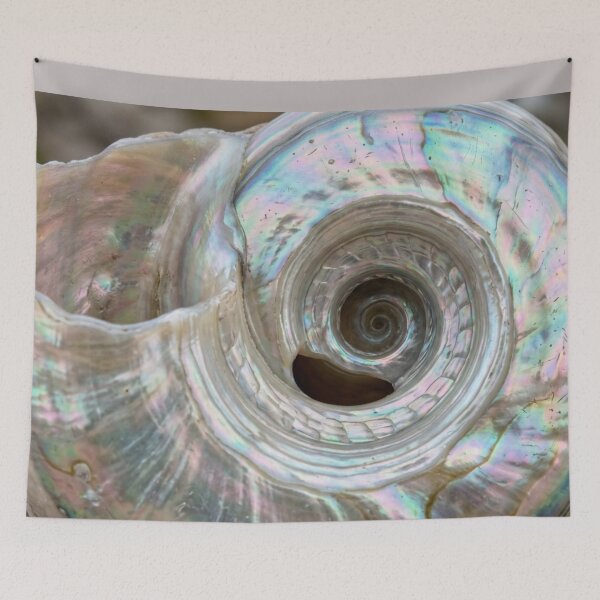 Item preview, Inside of a seashell. designed and sold by Malisa345.