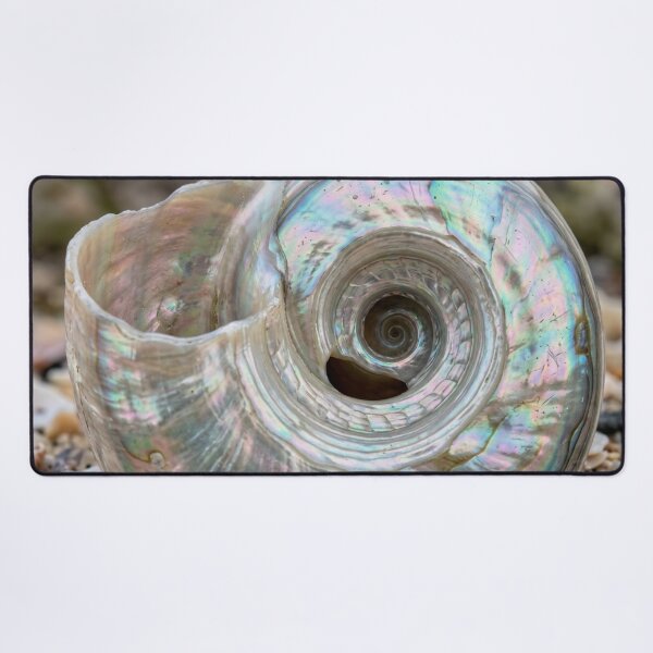 Item preview, Inside of a seashell. designed and sold by Malisa345.