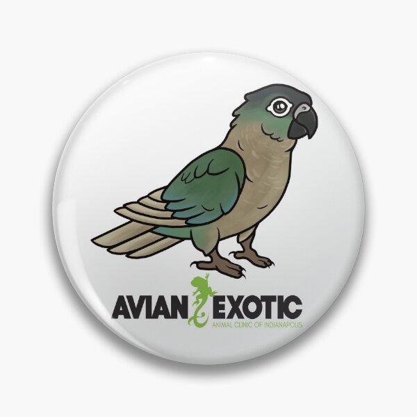 Item preview, Cute Conure designed and sold by exoticvetclinic.