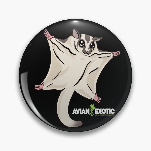 Item preview, Cute Sugar Glider designed and sold by exoticvetclinic.
