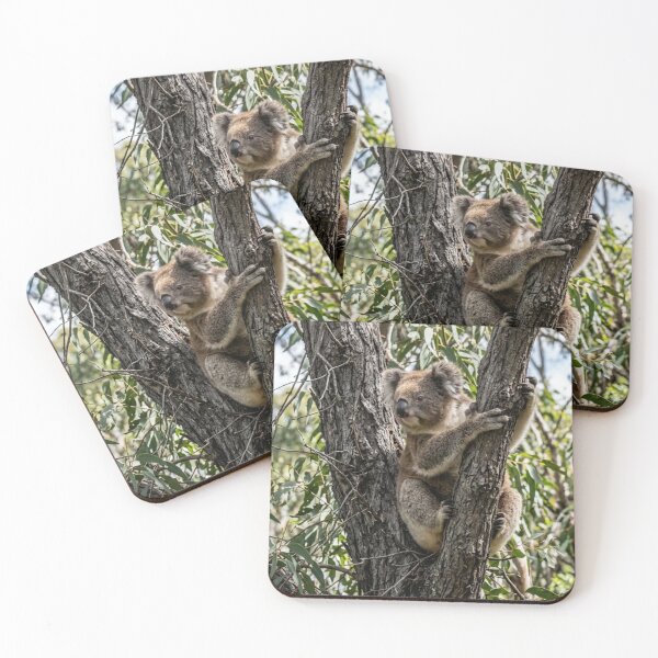 Item preview, Koala hanging from a tree designed and sold by Malisa345.