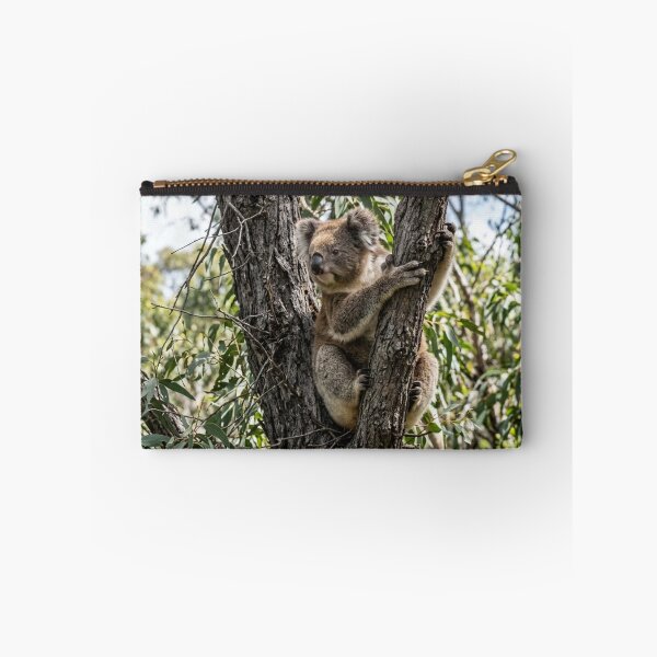Item preview, Koala hanging from a tree designed and sold by Malisa345.