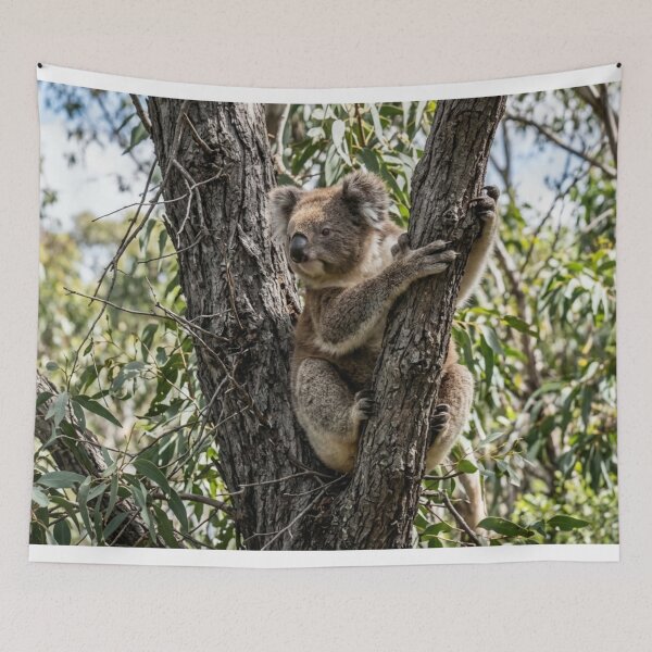 Item preview, Koala hanging from a tree designed and sold by Malisa345.