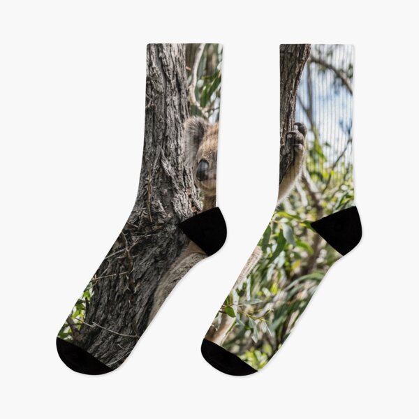 Item preview, Koala hanging from a tree designed and sold by Malisa345.