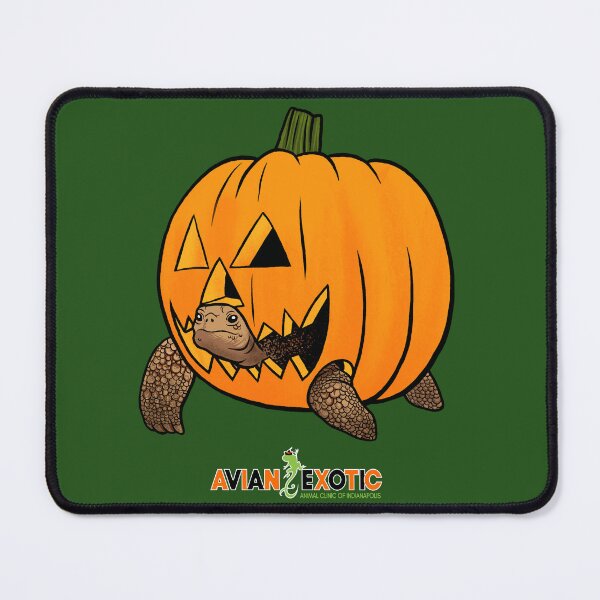 Item preview, AEAC Tortoise Jack O'Lantern  designed and sold by exoticvetclinic.