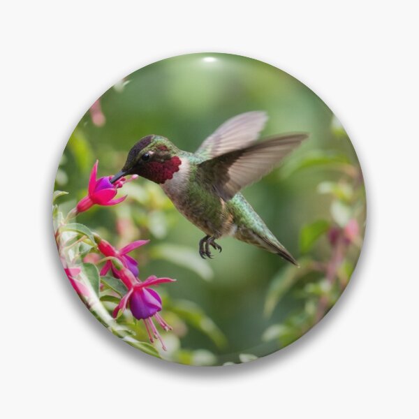 Item preview, Hummingbird in full flight on a flower designed and sold by Malisa345.