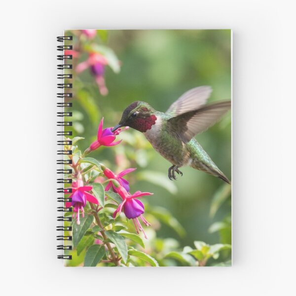 Item preview, Hummingbird in full flight on a flower designed and sold by Malisa345.