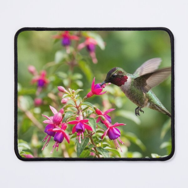 Item preview, Hummingbird in full flight on a flower designed and sold by Malisa345.