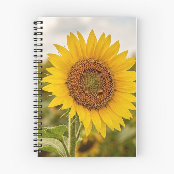Item preview, Sunflower in close-up designed and sold by Malisa345.