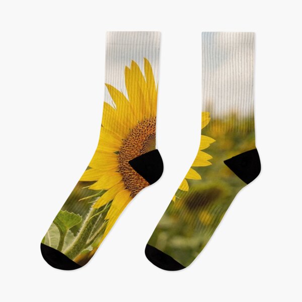 Item preview, Sunflower in close-up designed and sold by Malisa345.