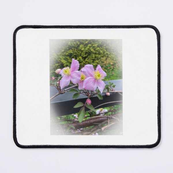 Item preview, Purple Clematis Flowers designed and sold by CakenCoffeeCafe.