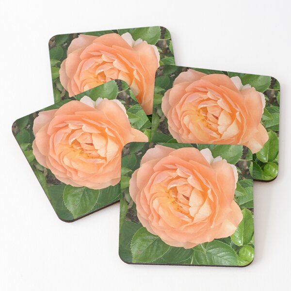 Item preview, Peach colored Rose Flower designed and sold by CakenCoffeeCafe.